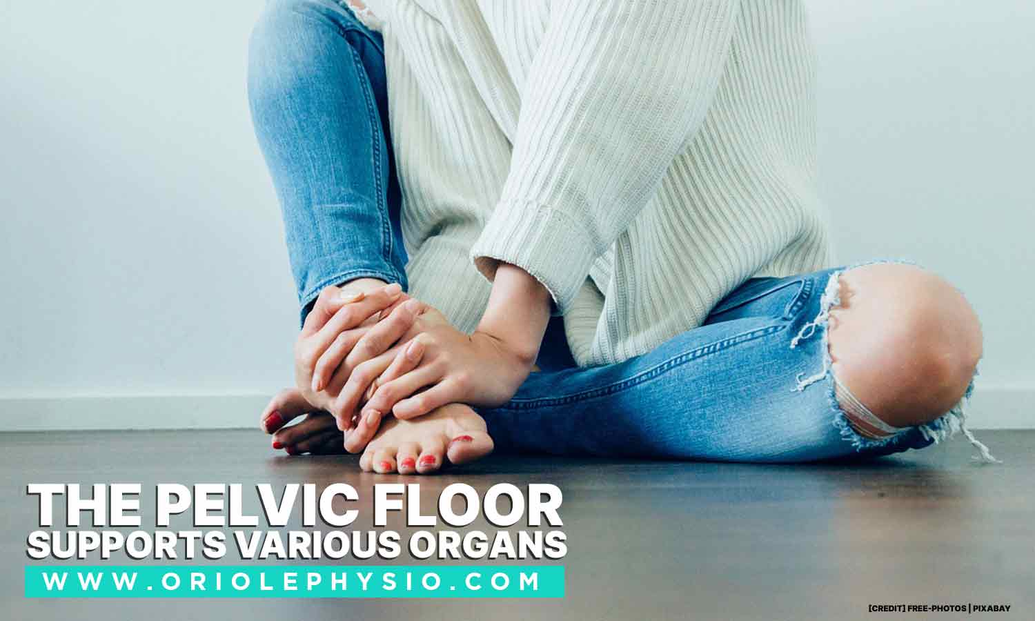 The pelvic floor supports various organs