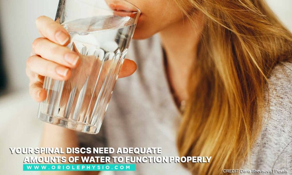 Your spinal discs need adequate amounts of water to function properly 